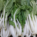Fresh Local Organic Pechay | Petchay Tagalog - order price / 250 grams