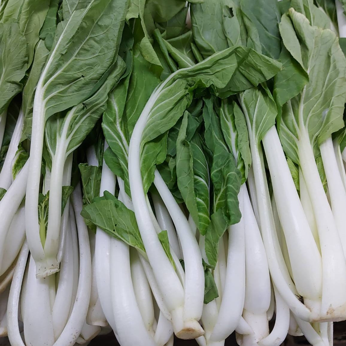 新鮮なローカル オーガニック Pechay | Petchay Tagalog - 注文価格 / 250 グラム