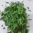 新鮮な地元の有機カレーの葉 - 注文価格 / 100 グラム