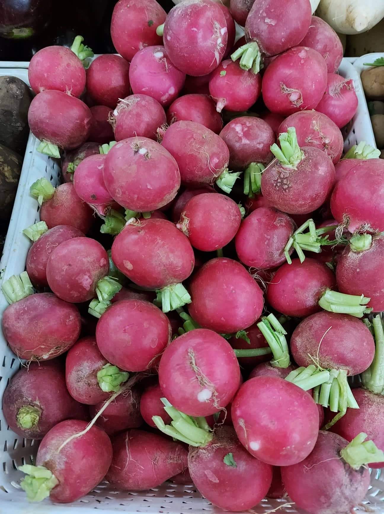 Organic Mini Red Radish | Raddish (Red Labanos) order price/kilo