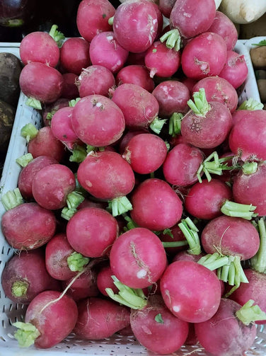 Red Radish – Farm2Metro