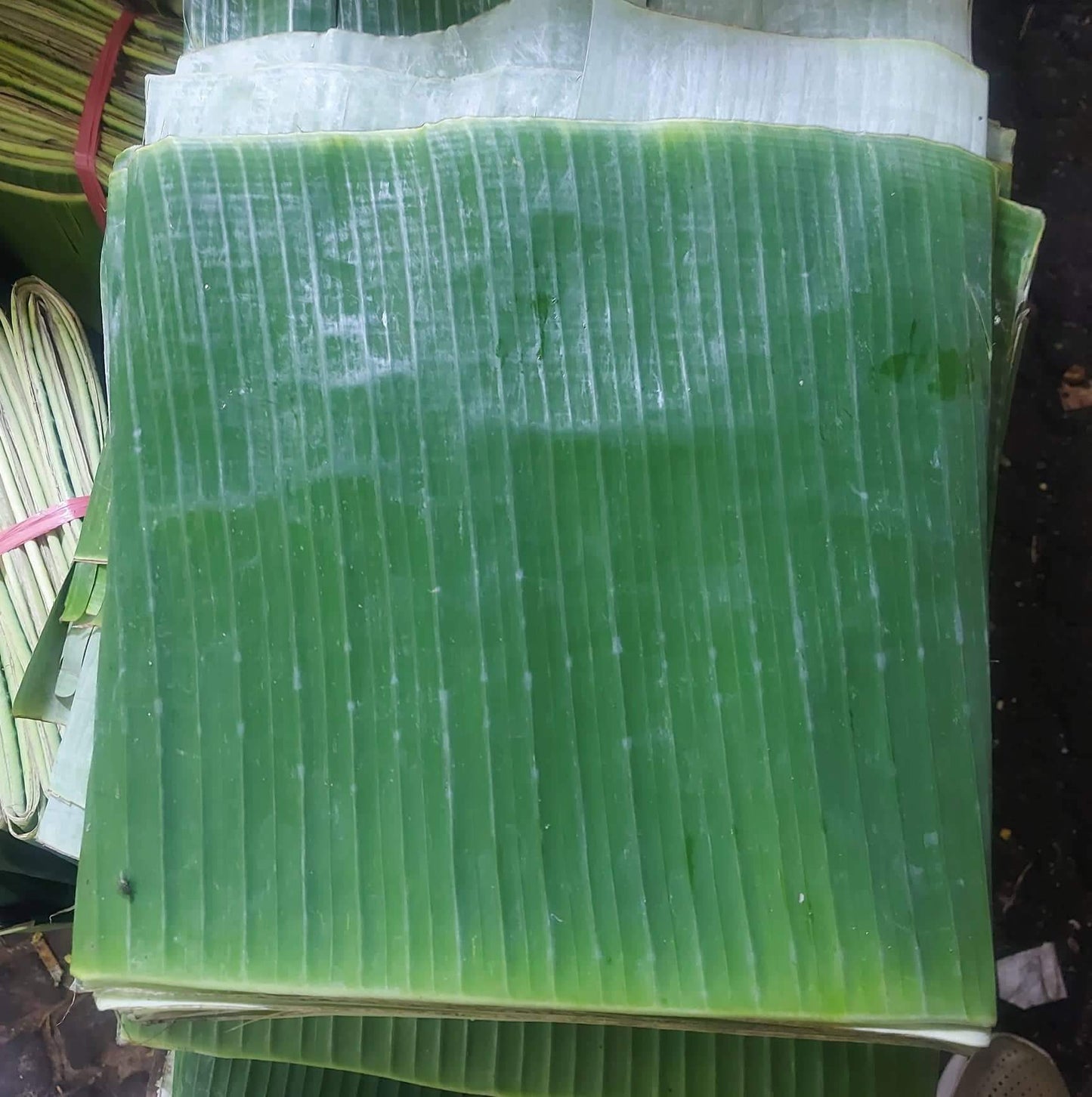 Banana Leaves(per bundle)