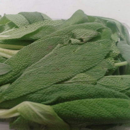 Fresh Organic Sage - order price / 50 grams
