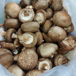 Fresh Shitake Mushrooms - order price / kilo