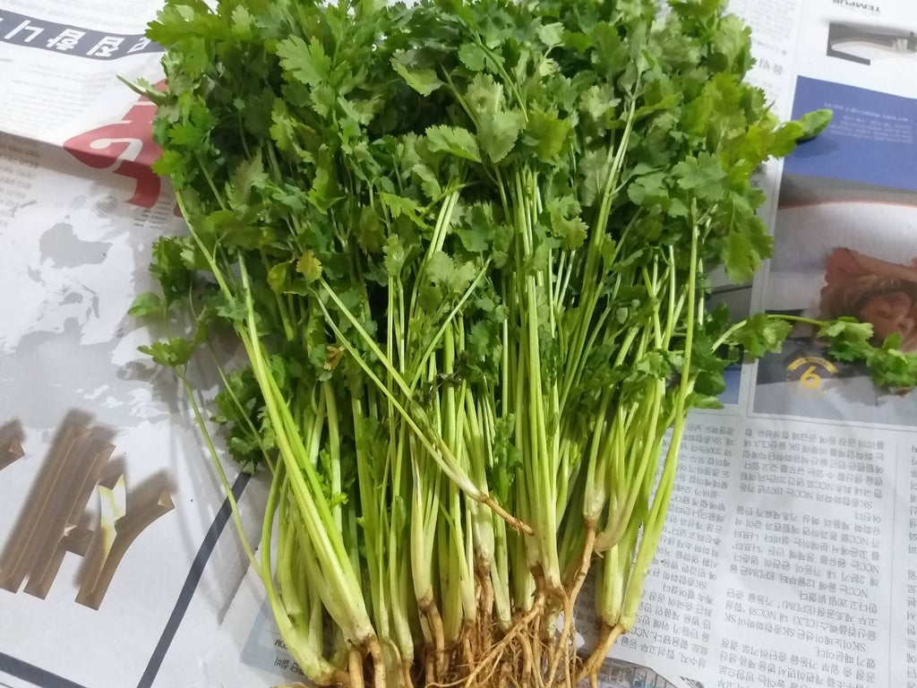 新鮮本地有機香菜 |香菜 [Wansoy] - 訂貨價 / 250 克