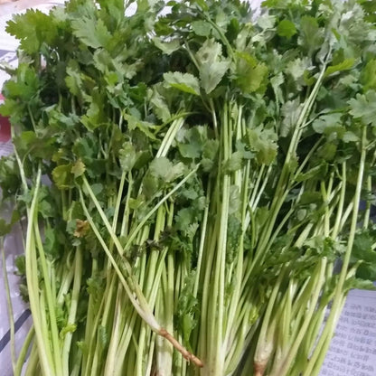 新鮮本地有機香菜 |香菜 [Wansoy] - 訂貨價 / 100 克