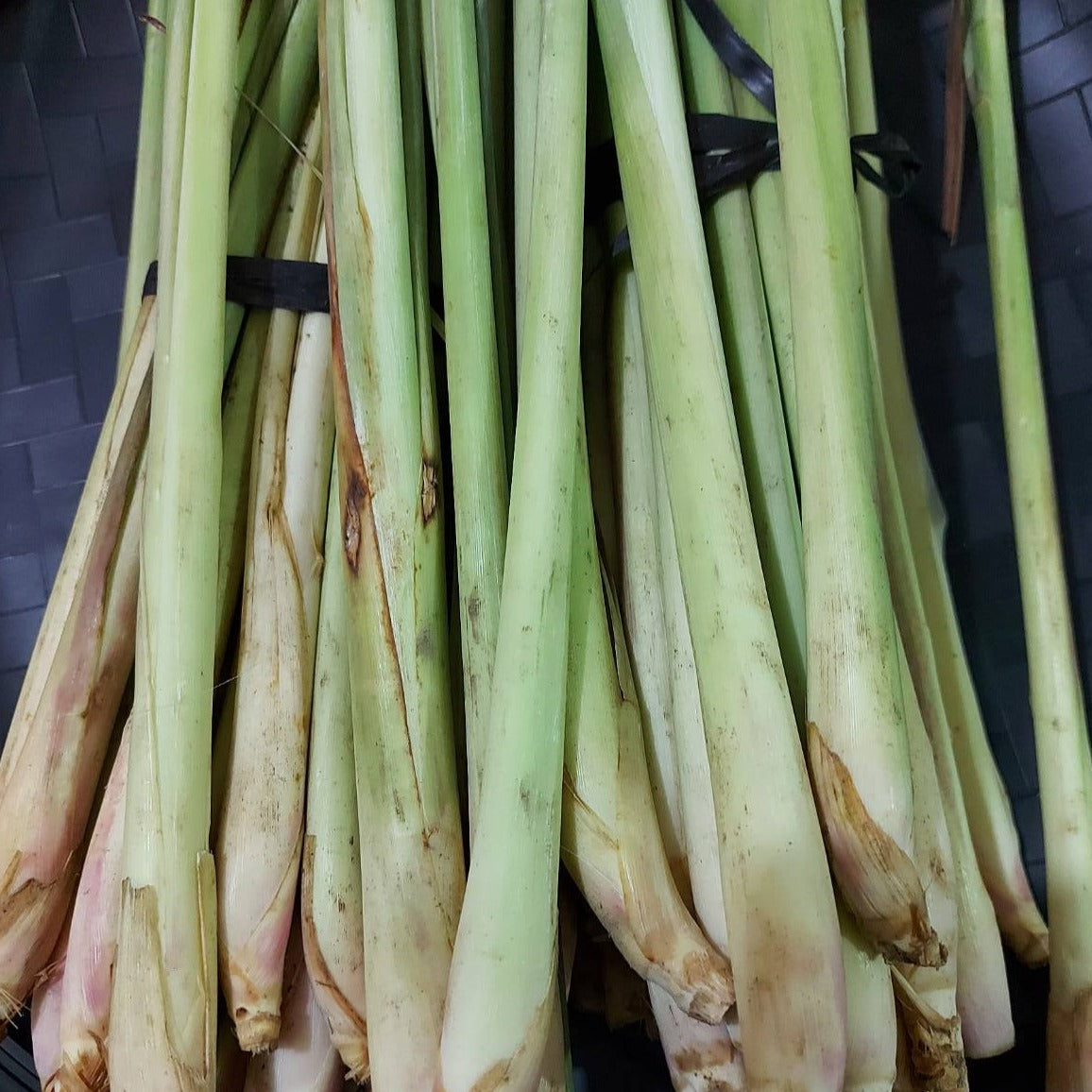 新鮮檸檬草 |香茅 [Tanglad] 訂貨價/公斤