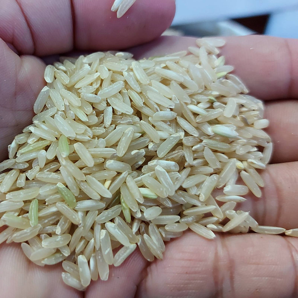 來自北方省的有機糙米 - 特價/15 公斤